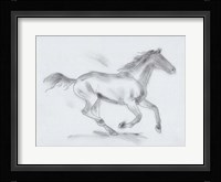 Smoke Stallion I Framed Print