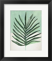 Verging Palm I Fine Art Print