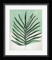 Verging Palm I Framed Print