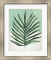 Verging Palm I Fine Art Print