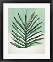 Verging Palm I Framed Print