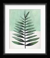 Verging Palm II Framed Print
