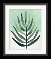 Verging Palm III Framed Print