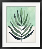 Verging Palm III Framed Print