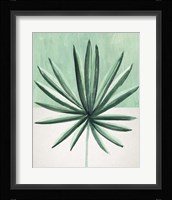 Verging Palm IV Framed Print