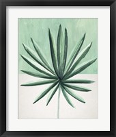 Verging Palm IV Framed Print