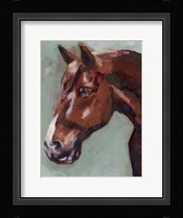 Paint by Number Horse I Framed Print