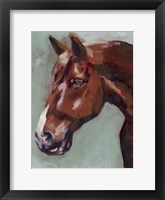 Paint by Number Horse I Framed Print