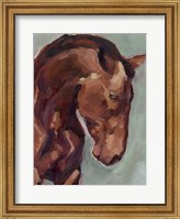 Paint by Number Horse II Fine Art Print