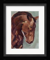 Paint by Number Horse II Framed Print