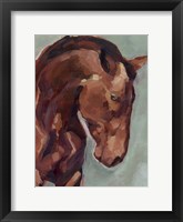 Paint by Number Horse II Framed Print