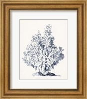 Blue Antique Coral I Fine Art Print
