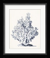 Blue Antique Coral I Fine Art Print