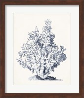 Blue Antique Coral I Fine Art Print