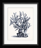 Blue Antique Coral II Fine Art Print