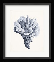 Blue Antique Coral III Fine Art Print