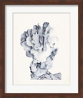 Blue Antique Coral IV Fine Art Print