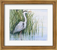 Heron in the Marsh I Fine Art Print