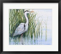 Heron in the Marsh I Fine Art Print