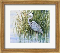 Heron in the Marsh II Fine Art Print