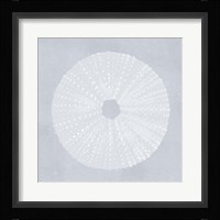 Tide Pool Treasures I Framed Print