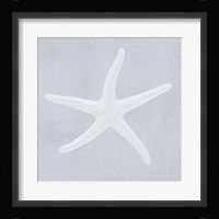 Tide Pool Treasures II Framed Print