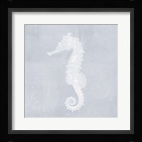 Tide Pool Treasures VI Framed Print