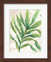 Parchment Palms I Fine Art Print