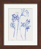 Inky Daffodils I Fine Art Print