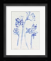 Inky Daffodils I Framed Print