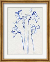 Inky Daffodils II Fine Art Print