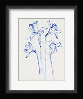 Inky Daffodils II Framed Print