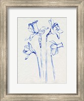 Inky Daffodils II Fine Art Print