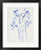 Inky Daffodils II Framed Print
