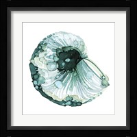 Blue Barnacle I Framed Print