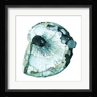 Blue Barnacle II Framed Print