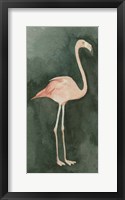 Forest Flamingo II Framed Print