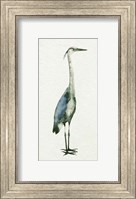 Deep Blue Heron I Fine Art Print