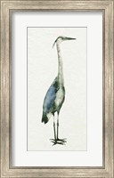 Deep Blue Heron I Fine Art Print