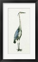 Deep Blue Heron I Framed Print