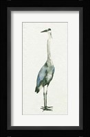 Deep Blue Heron II Framed Print