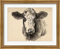 Charcoal Cow I Fine Art Print