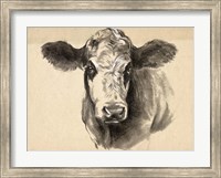 Charcoal Cow I Fine Art Print