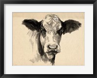 Charcoal Cow II Fine Art Print