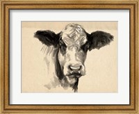 Charcoal Cow II Fine Art Print