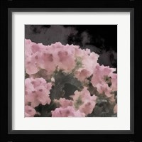 Blush Rush II Framed Print
