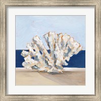 Coral By the Shore I Fine Art Print
