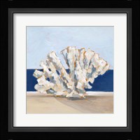 Coral By the Shore I Framed Print