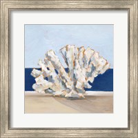 Coral By the Shore I Fine Art Print