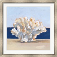 Coral By the Shore II Fine Art Print